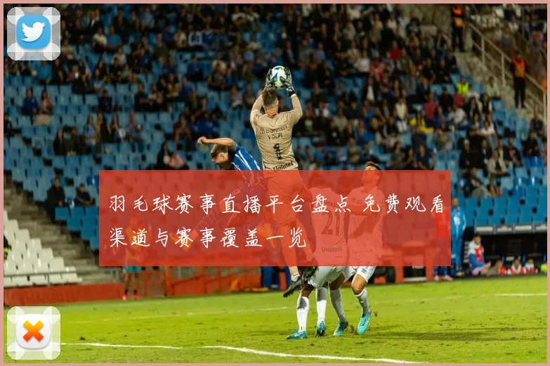 羽毛球赛事直播平台盘点 免费观看渠道与赛事覆盖一览