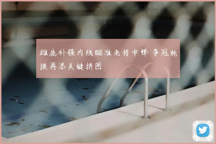 雄鹿补强内线瞄准老将中锋 争冠轮换再添关键拼图