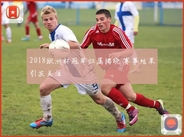 2018欧洲杯冠军归属揭晓 赛事结果引发关注