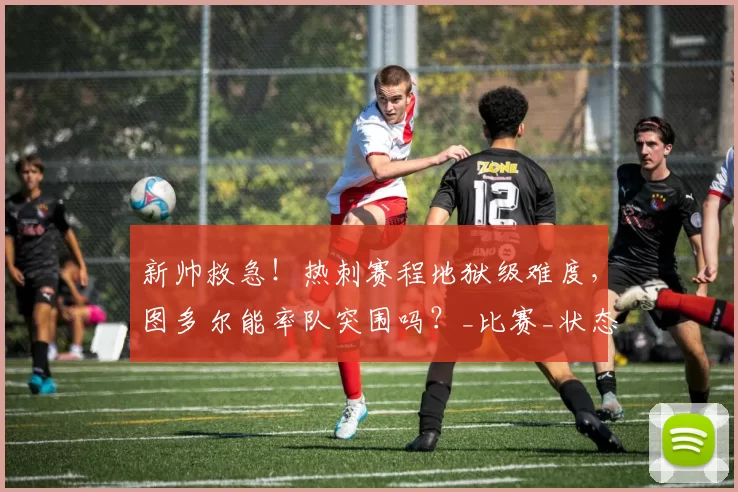 新帅救急！热刺赛程地狱级难度，图多尔能率队突围吗？_比赛_状态_欧冠